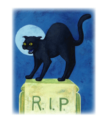 Cat on gravestone