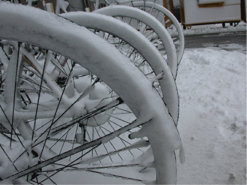 Bicycle wheels in the snow
