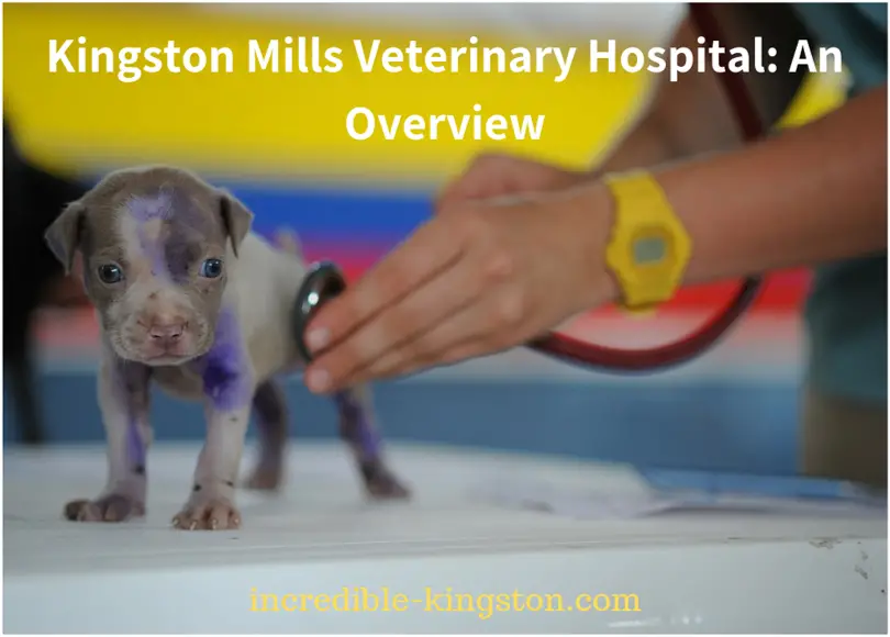 kingston mills veterinary hospital