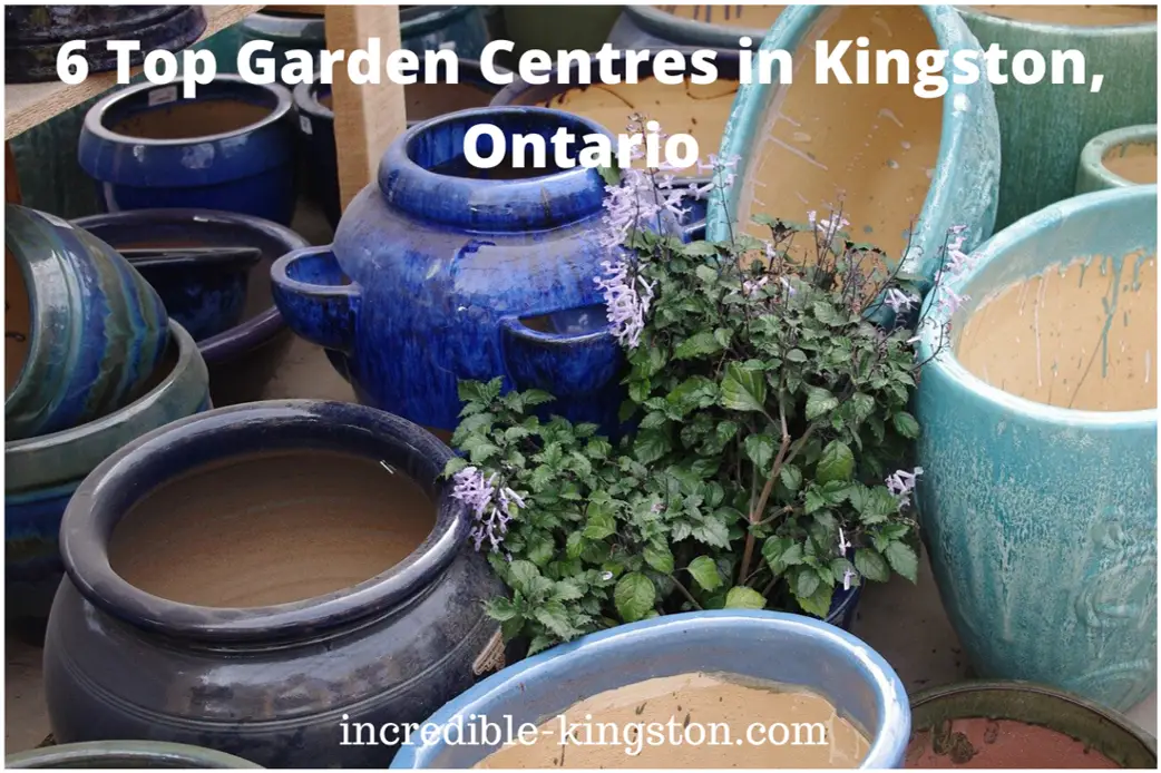 garden centres in Kingston, Ontario
